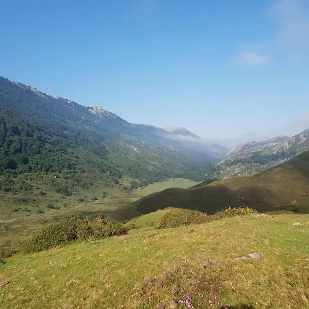 Апартаменты 3banes